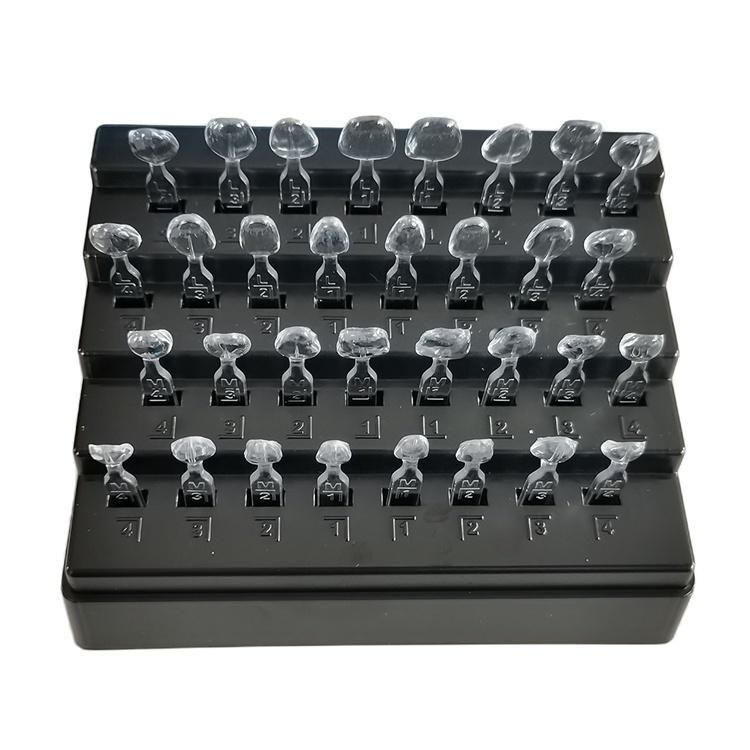 Dental Porcelain Teeth Veneer Autoclaved Anterior Mould 32PCS