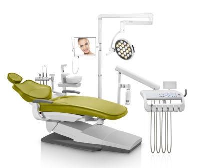 CE Approved Implant Multifunction Dental Chair Unit for VIP Clinic