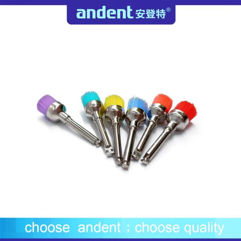 Dental Colorful Teeth Polishing Prophy Brushes