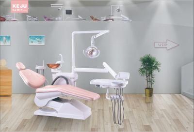 Asian Top Sale Dental Unit (KJ-917)