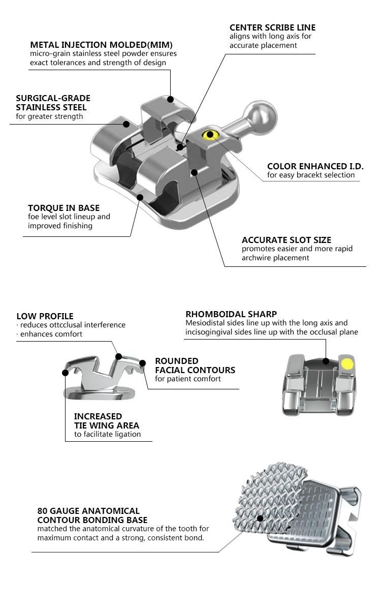 Orthodontic Materials Standard Metal Roth Brackets