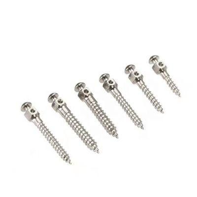 Biom Small Head Dental Implant Titanium Alloy Micro Orthodontic Anchorage Screw