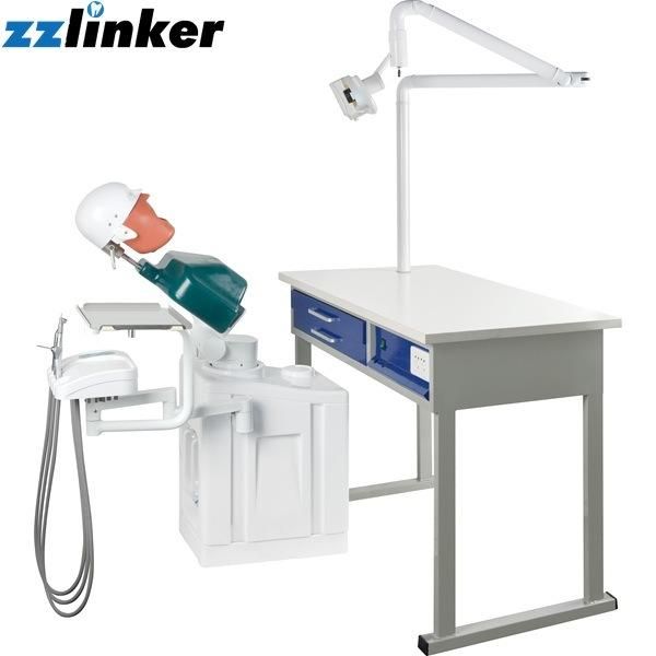 Lk-OS21 Dental Manikin Practice Head Mould with Body Price