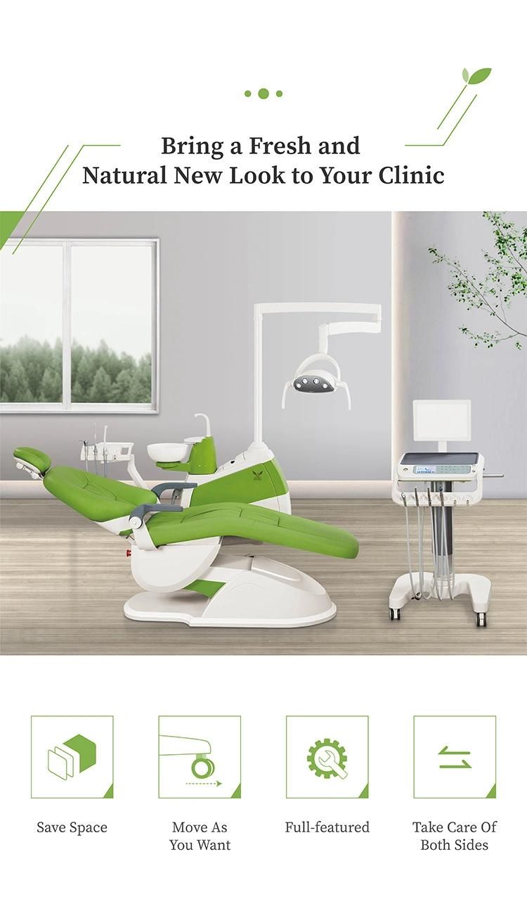 Top Quality Ce Approved Dental Chair Tooth Chair/Dental Hygiene Chairs for Sale/Dental Unit Prices