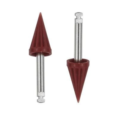 Different Type Dental Polishing Tool Prophy Brush Cups