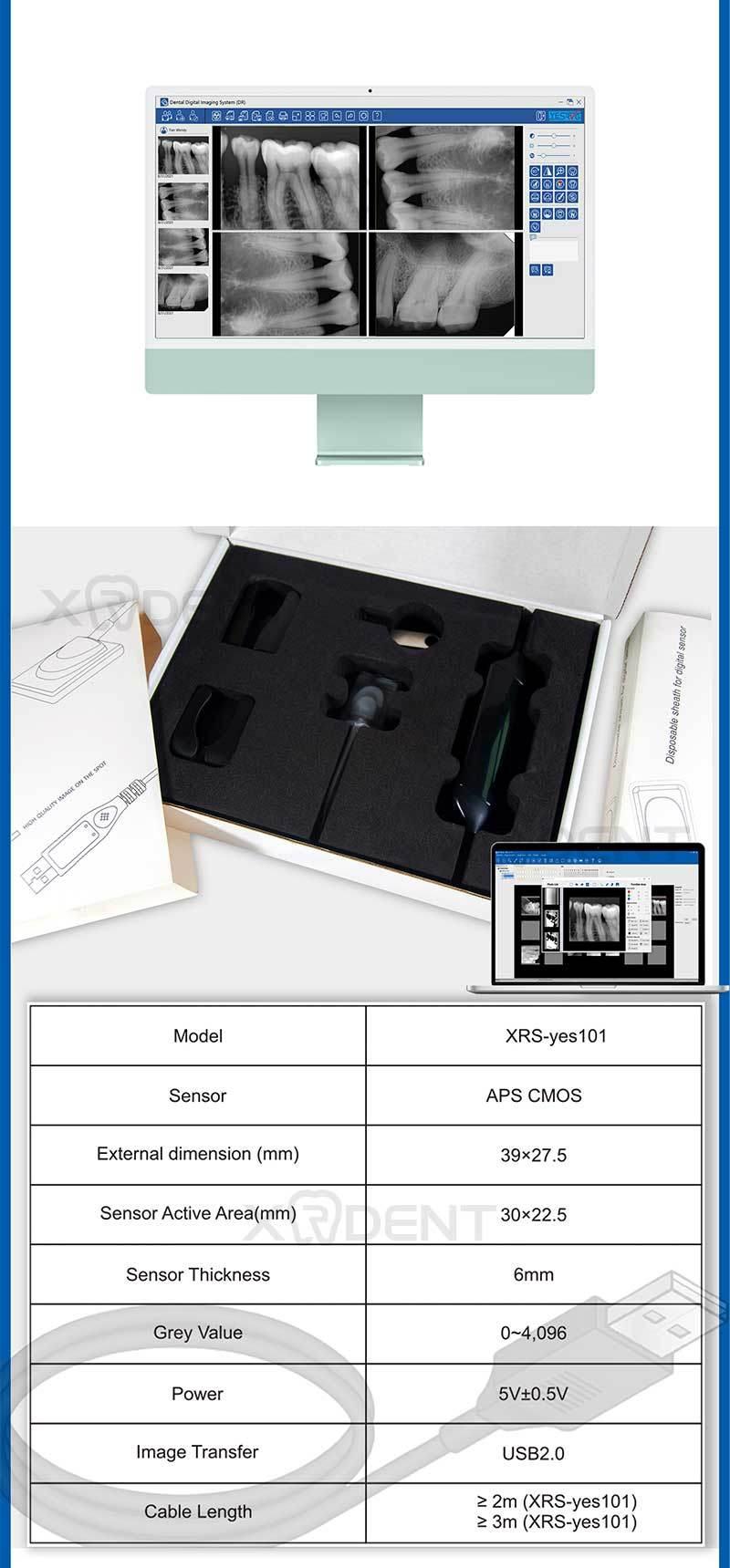 Adult Children Portable Rvg Digital Dental X-ray Sensor