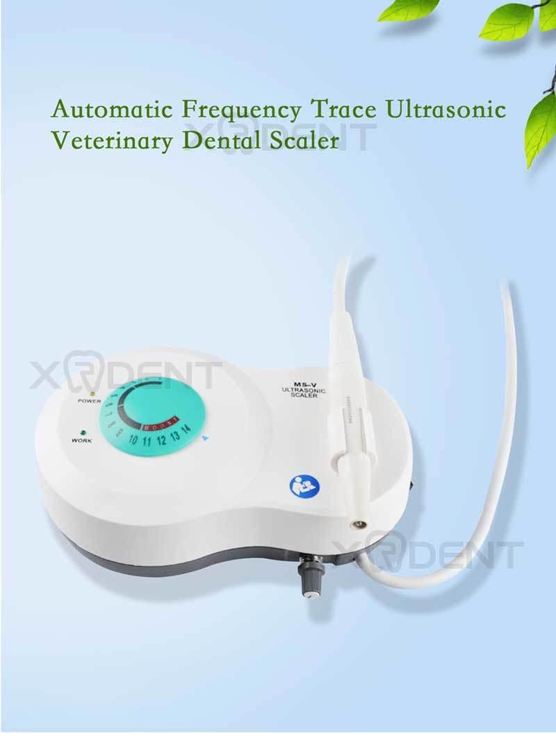 Dental Products Best Type Ultrasonic Scaler