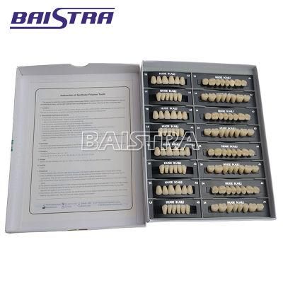 Dental Synthetic Polymer Teeth Resin Denture A2/A3