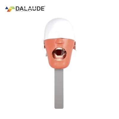 Phantom Head for Dental Training Products, Dental Study Products