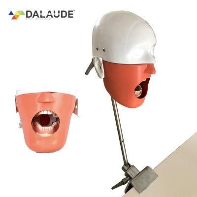 Da-C5 Dental Simulation Phantom Head for Clinical with Clamp