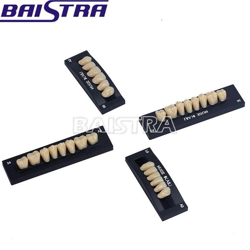 Dental Synthetic Polymer Resin Teeth