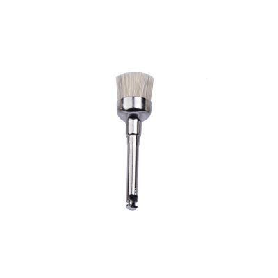 Metal Handle Cup Shape Dental Disposable Pig Bristle Prophy Brushes