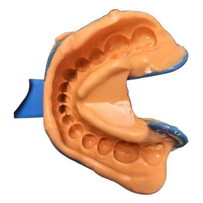 Normal Regular and Fast Setting Alginate Powder Dental Impression Material