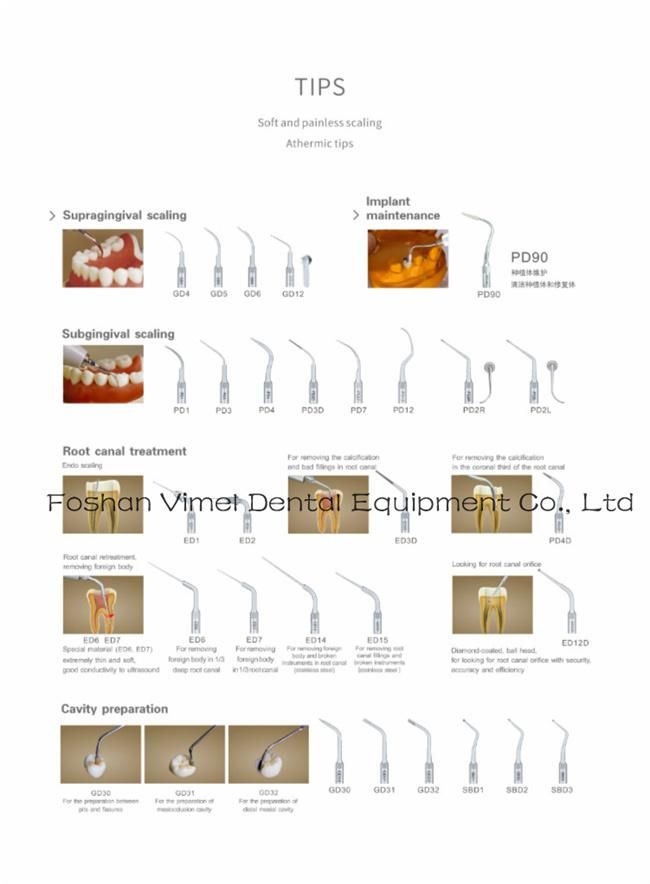 Dte Scaler D5 LED Ultrasonic Scaling Machine Woodpecker Satelec