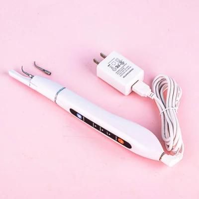 Medical Dental and Toothbrush Portable Scaler Periodontal Treatment Dental Ultrasonic Scaler Dental Equipment