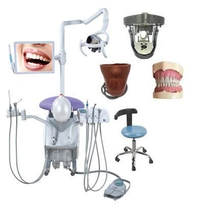 Phantom Head for Dental Student Practice Simulation Mannequins Simulatior