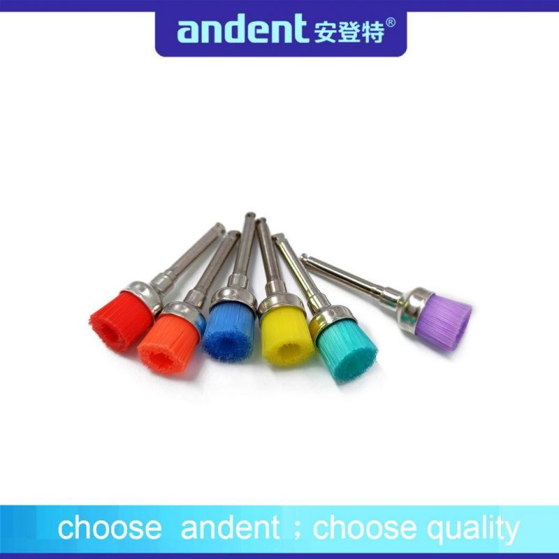 Colorful Dental Material Prophy Brush to Clean Teeth