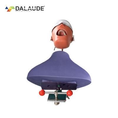 Head Model Dental Simulator Phantom for Dentist Teaching Tools