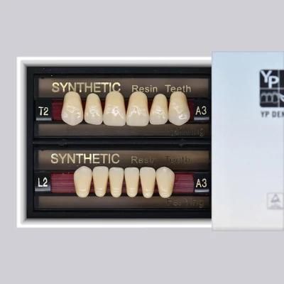 Dental Acrylic Resin Teeth Artificial Teeth