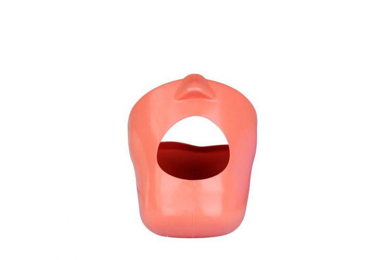 Dental Simulator Accessories Stimulated Head and Body