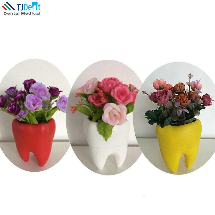 Dental Clinic Decoration Tooth Shape Flower Pot Flower Vase