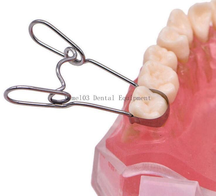 Dental Contoured Metal Matrices Matrix with Springclip No. 1.330