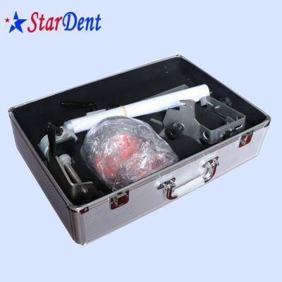 Dental Training Simulator Dental Phantom Head for Dental School Training