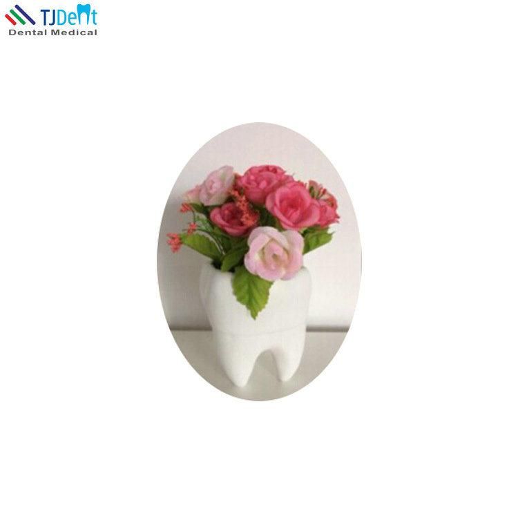 Dental Clinic Decoration Tooth Shape Flower Pot Flower Vase