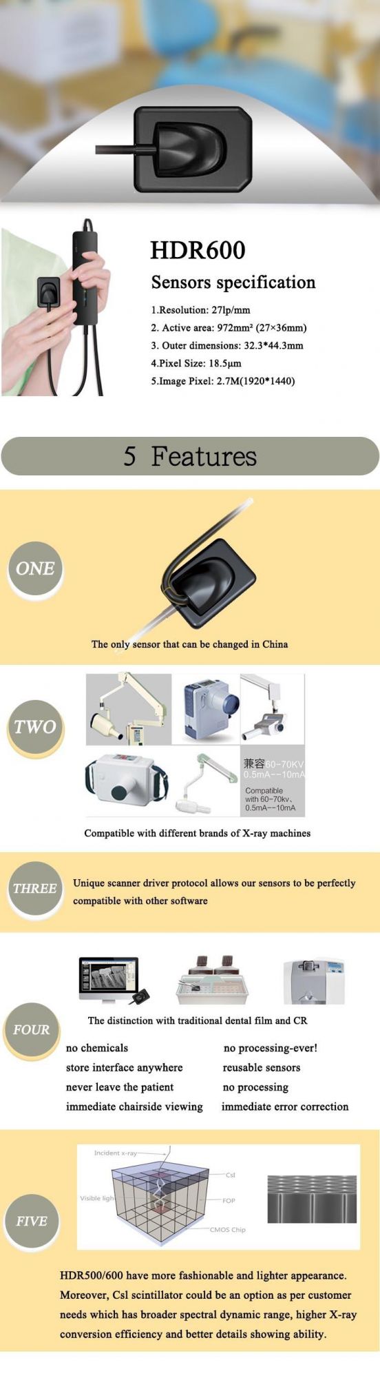 Dental Equipment Dental Digital X-ray Sensor