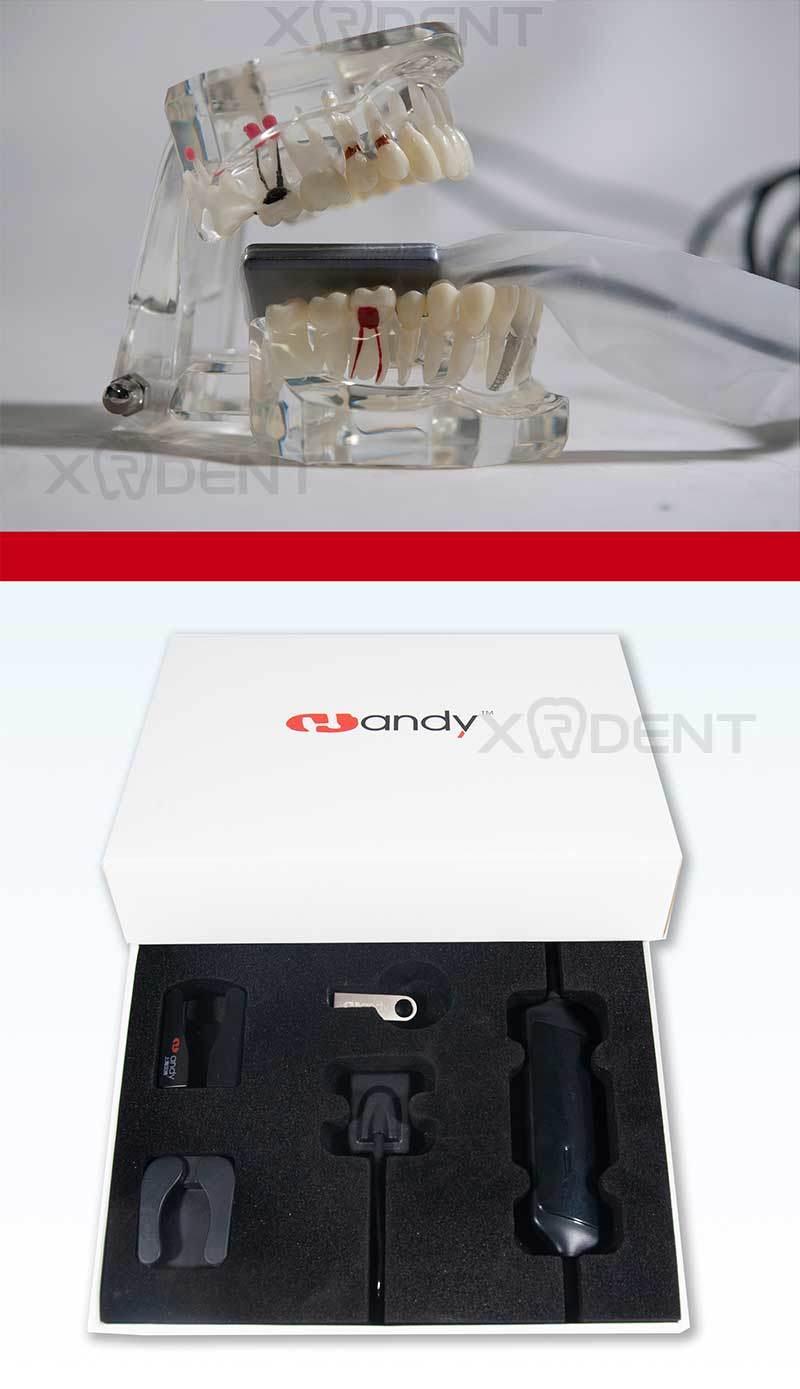 Handy Brand Digital Dental X-ray Sensor Rvg 1.5 Size