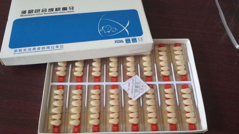 Factory Sale! ! ! 2022 Best Selling 2-Layer Dental Acrylic Teeth