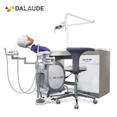 Dental Phantom Manikin Simulator Oral Dental Phantom Workbench