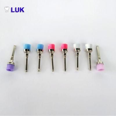 Medical Supply Screw Style Dental Prophy Polishing Brush