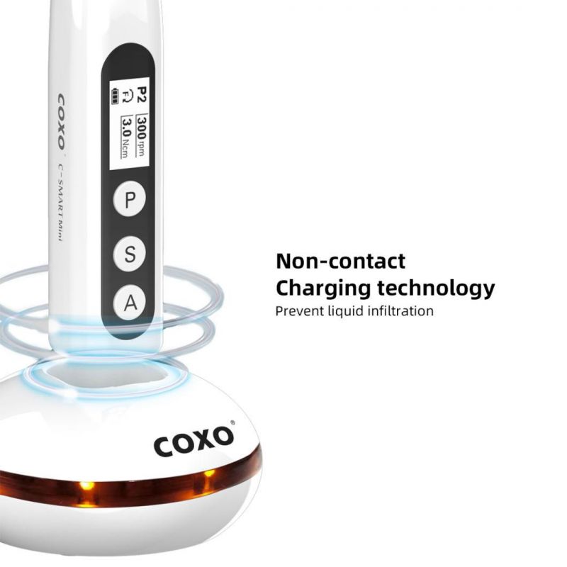 Dental Wireless Endo Motor for Root Canal with LCD Screen