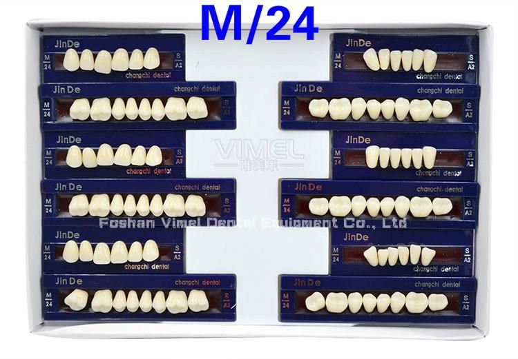 2-Layer Dental Synthetic Polymer Teeth Resin Teeth Acrylic Denture Teeth