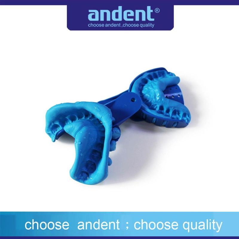 Dental Teeth Medical Impression Mouth Trays