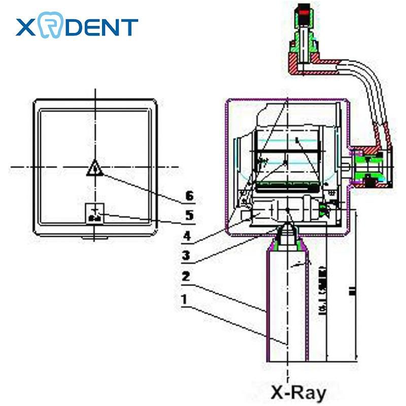 Stylish Floor Type Digital Dental X-ray Machine for Sale