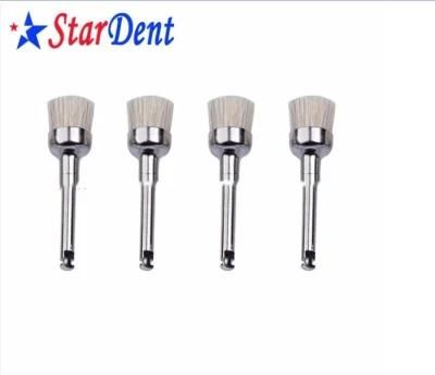 Dental Disposable Prophy Brushes/ Natural Bristles