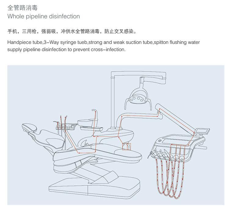 Ce & FDA Approved Disinfection Dental Unit /Dental Chair