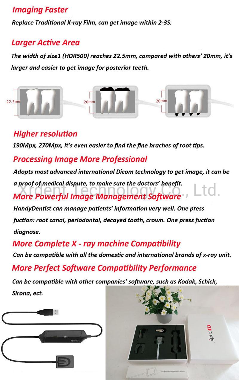 Handy Digital Sensor Dental X-ray Sensor X-ray Imaging System