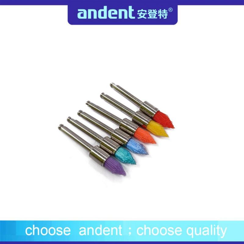 Dental Colorful Nylon Cup Prophy Polishing Brushes with Metal Shank