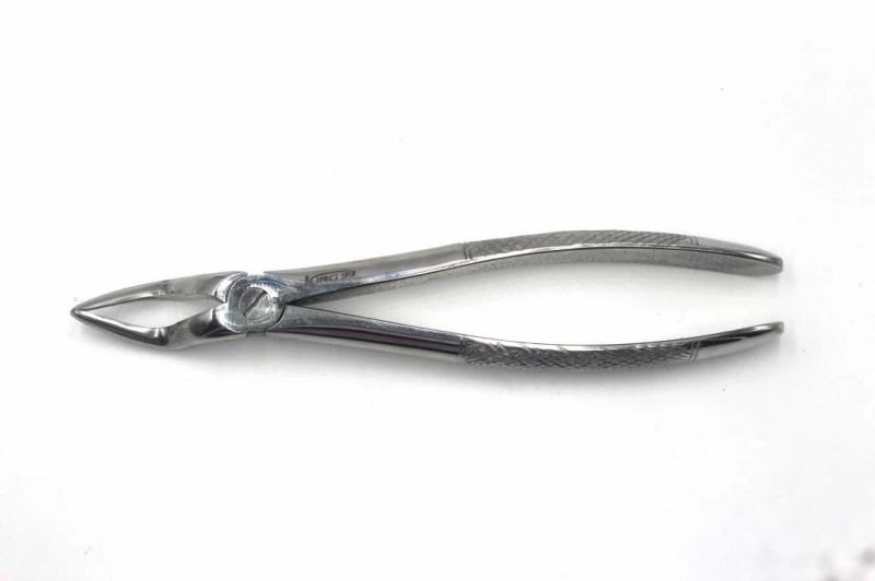 10PCS Oral Dental Surgery Instruments Kit Extracting Elevators Forceps