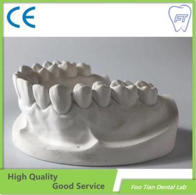 Good Product Orthodontics Study Model Removable Denture