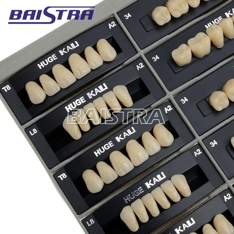 Dental Synthetic Polymer Teeth Resin Denture A2