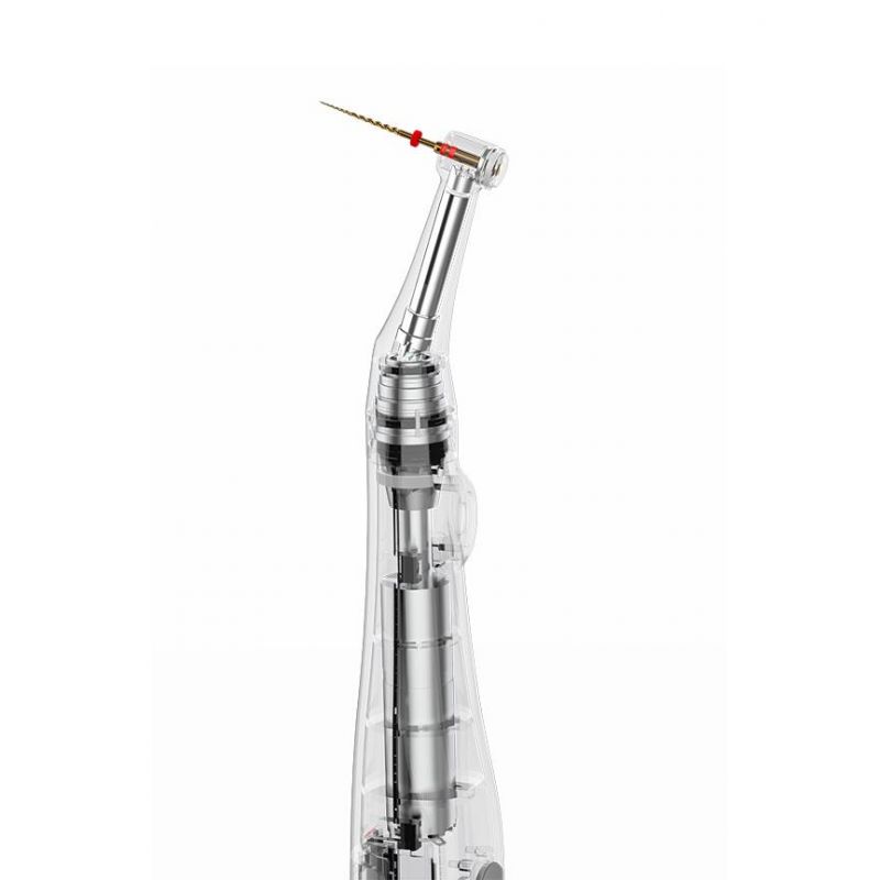 Dental Wireless Endo Motor for Root Canal with LCD Screen