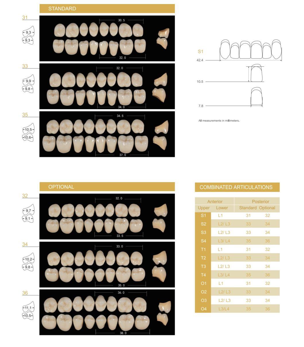 High Quality Five Layers Impla Shandong Huge Full and Removable Implant-Support Full Denture Acrylic Resin Practical False Teeth