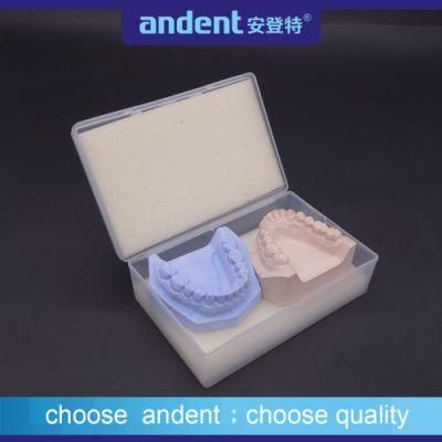 Denture transportation Box Denture Package Box