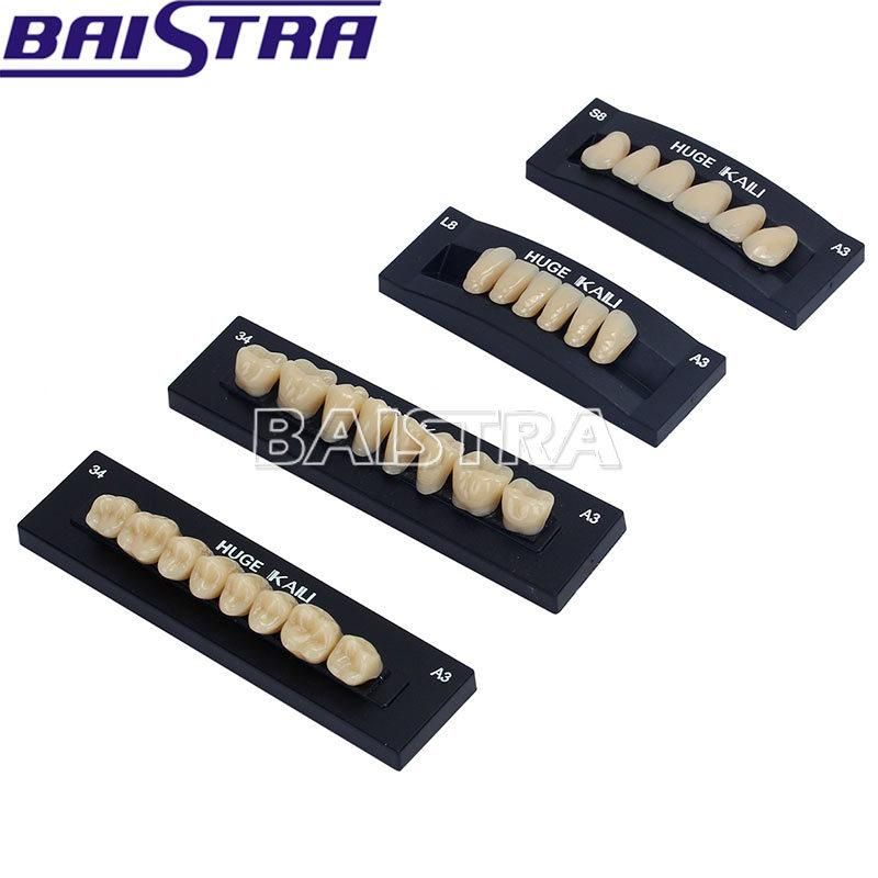 Dental Synthetic Polymer Resin Teeth