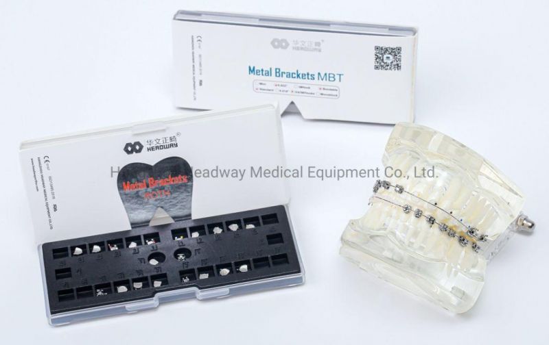 Orthodontic Bracket Lower Incisor Orthodontic Bracket