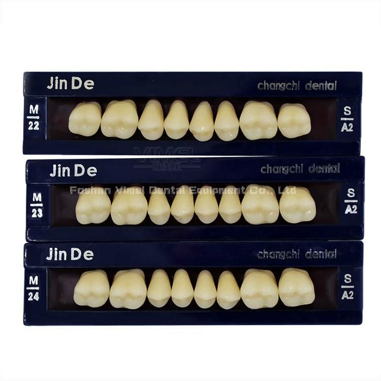 2-Layer Dental Synthetic Polymer Teeth Resin Teeth Acrylic Denture Teeth